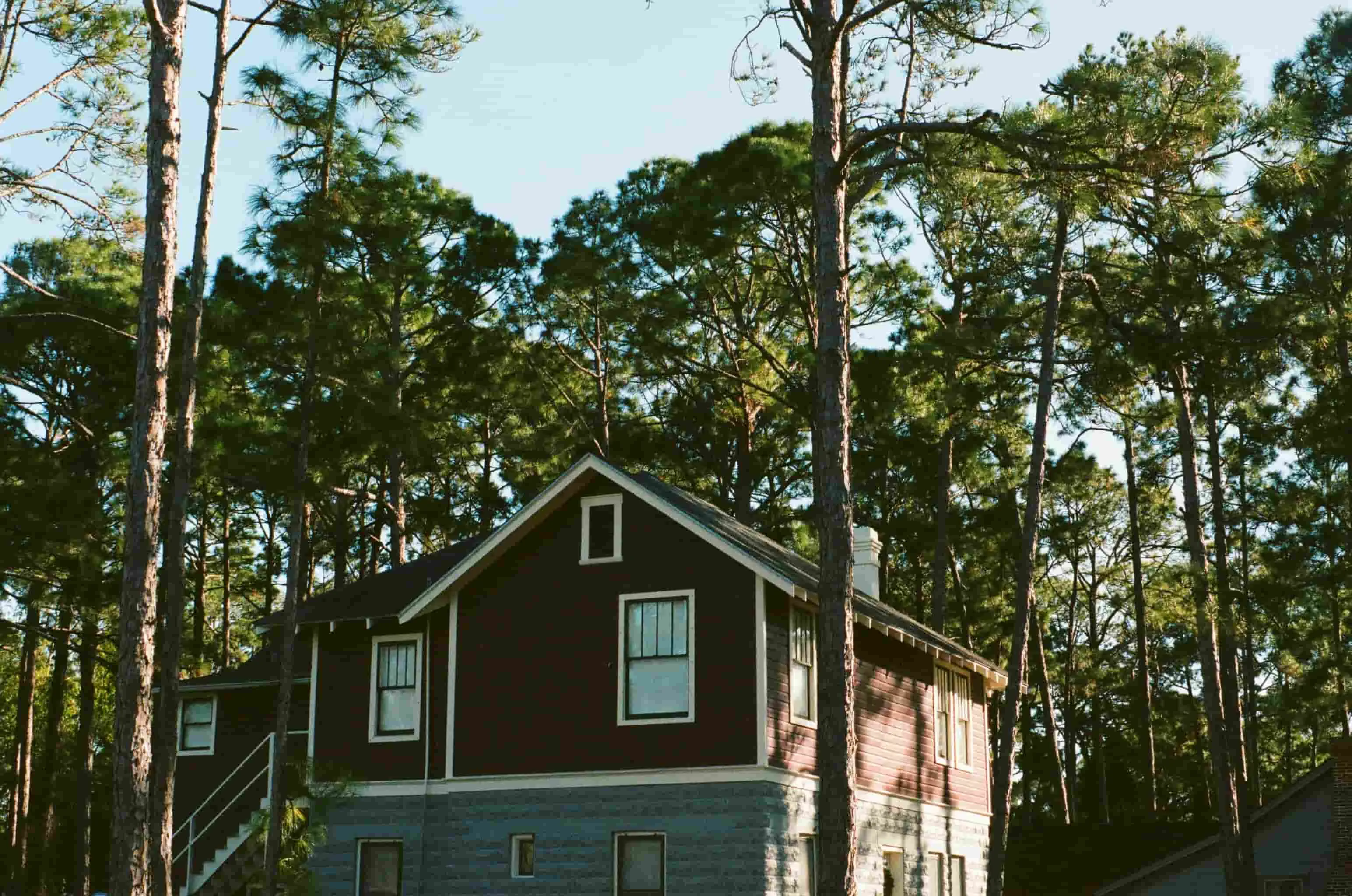 florida home in the woods